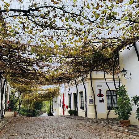 Ferienwohnung Atico Sonnenschein Jerez de la Frontera Exterior foto